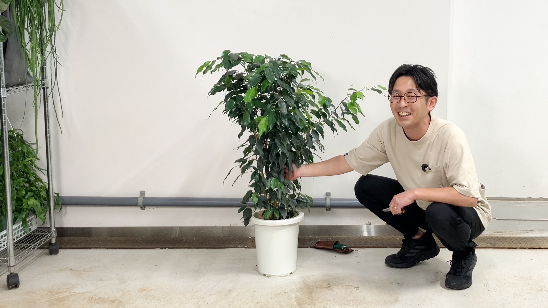 状態の説明