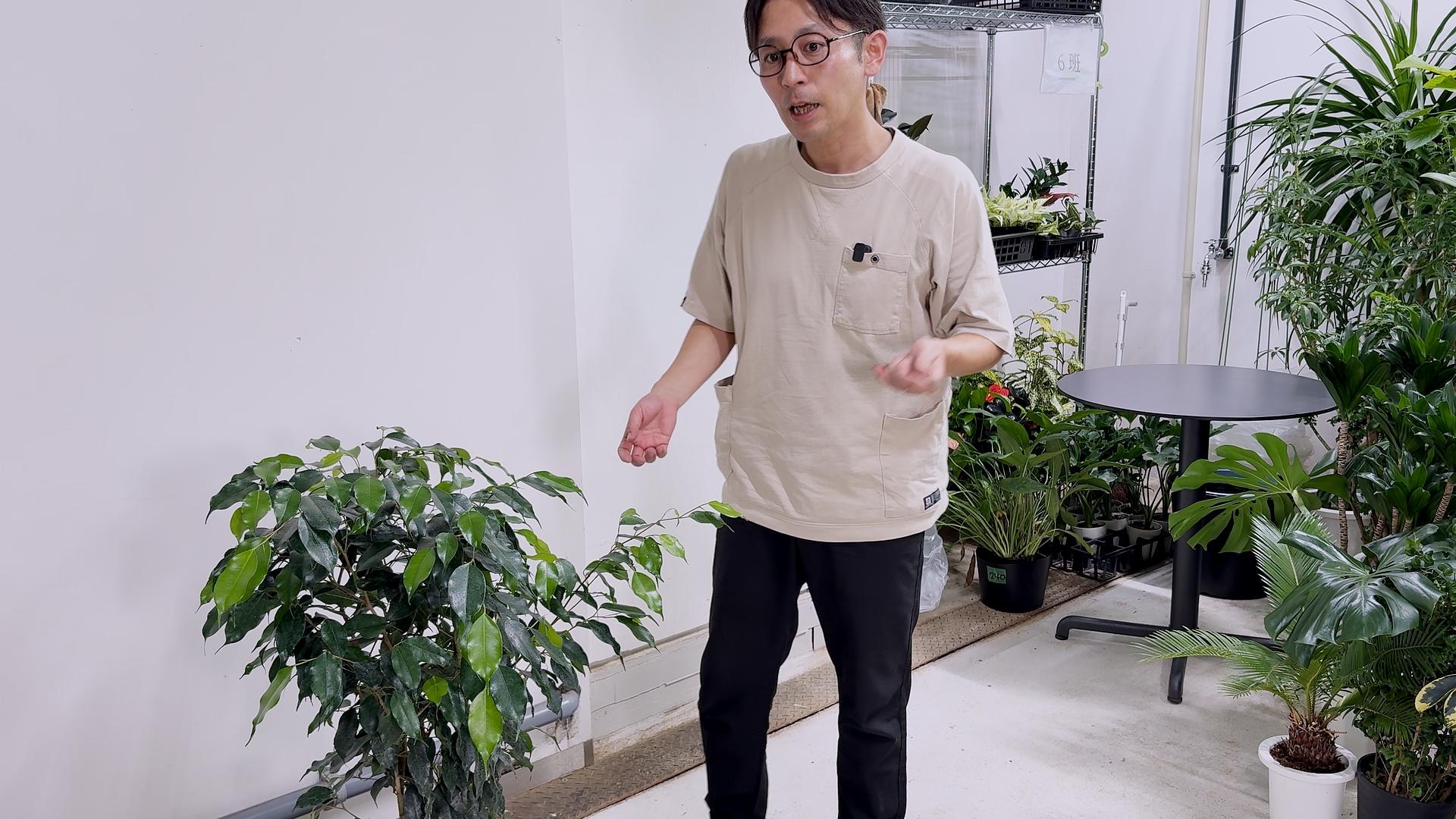 一度も剪定されてない伸びすぎた枝の処理