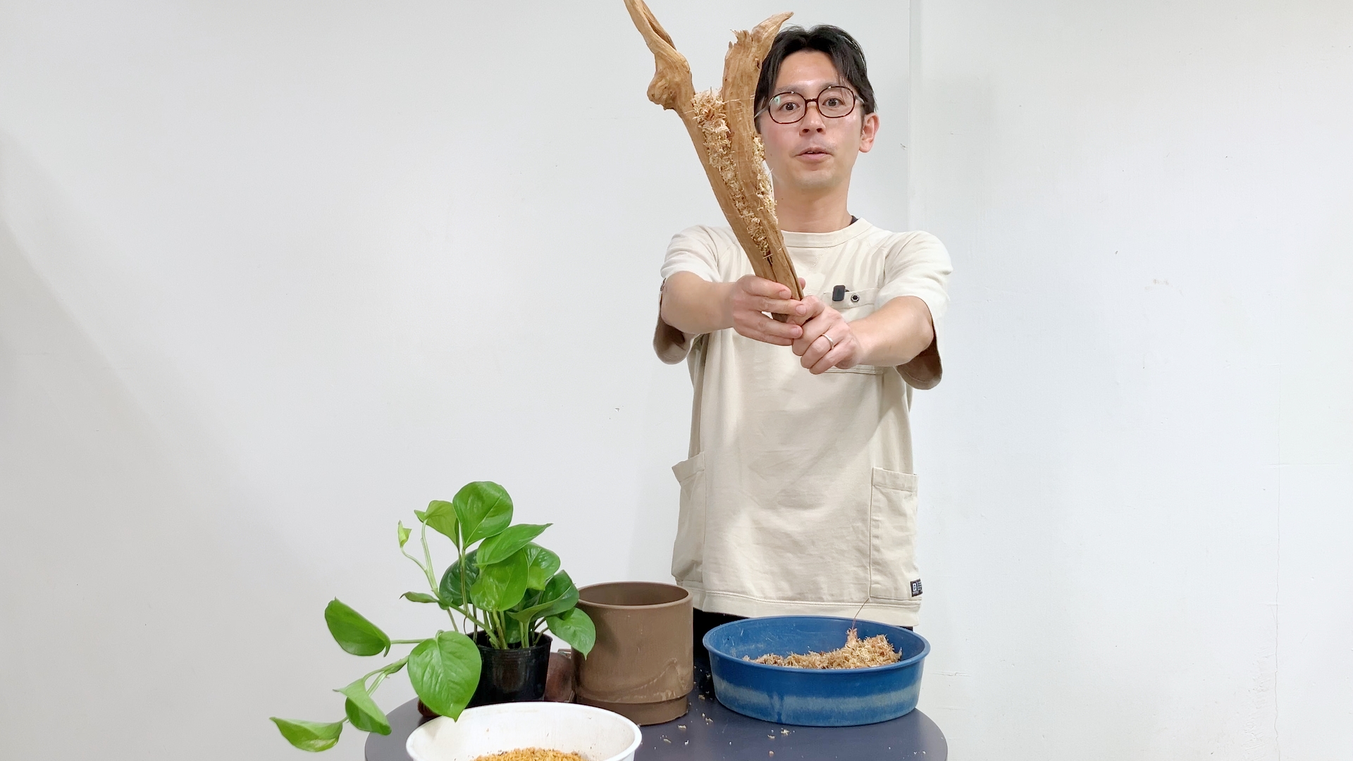 植物を植える