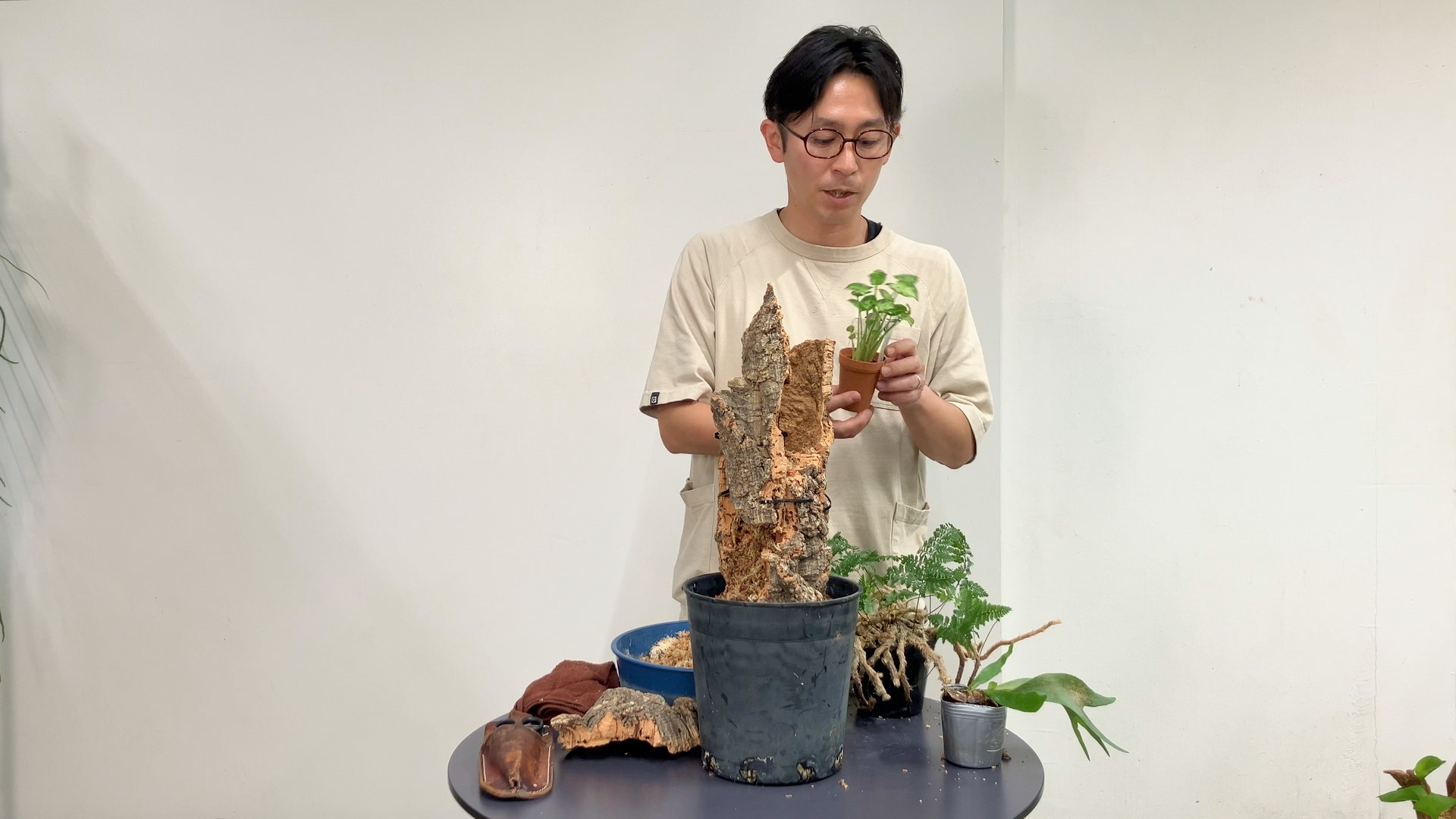 植える